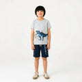 Boys T-Rex Roar Shorts Set