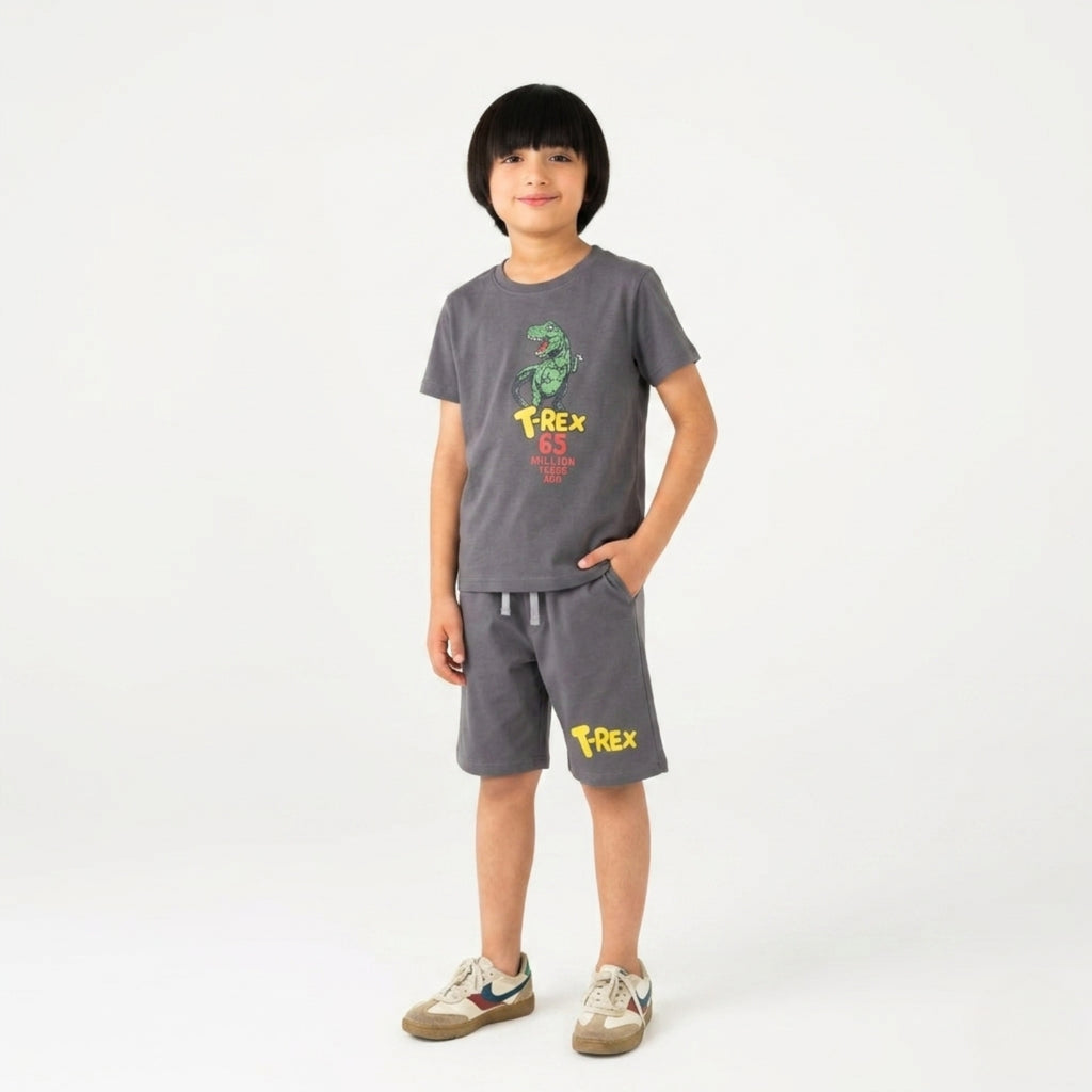 Boys T-Rex Dinosaur Grey Set