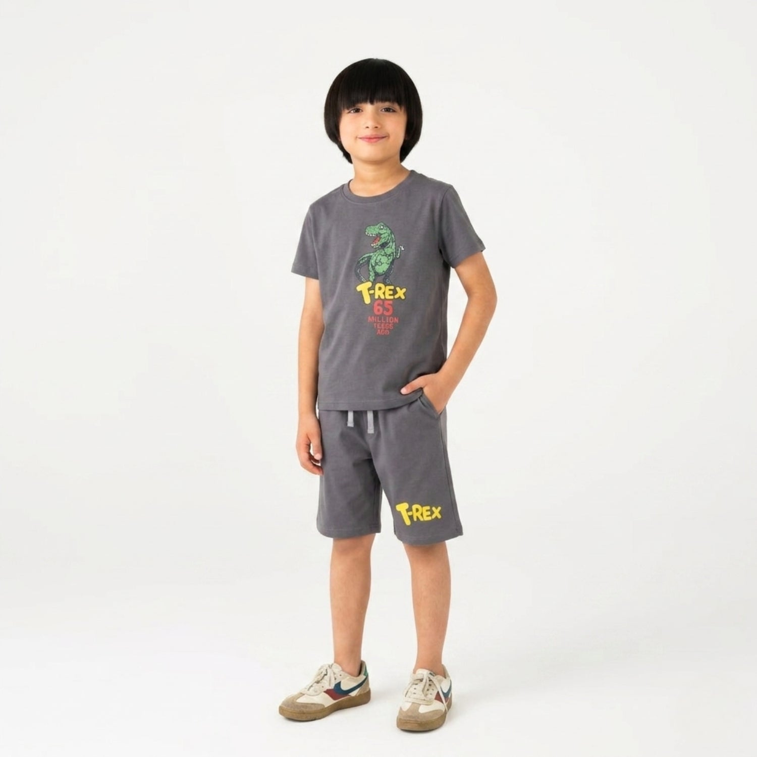 Boys T-Rex Dinosaur Grey Set