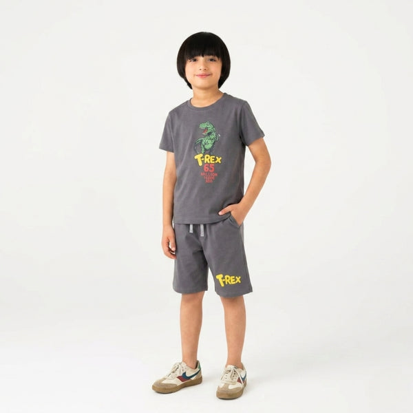 Boys T-Rex Dinosaur Grey Set