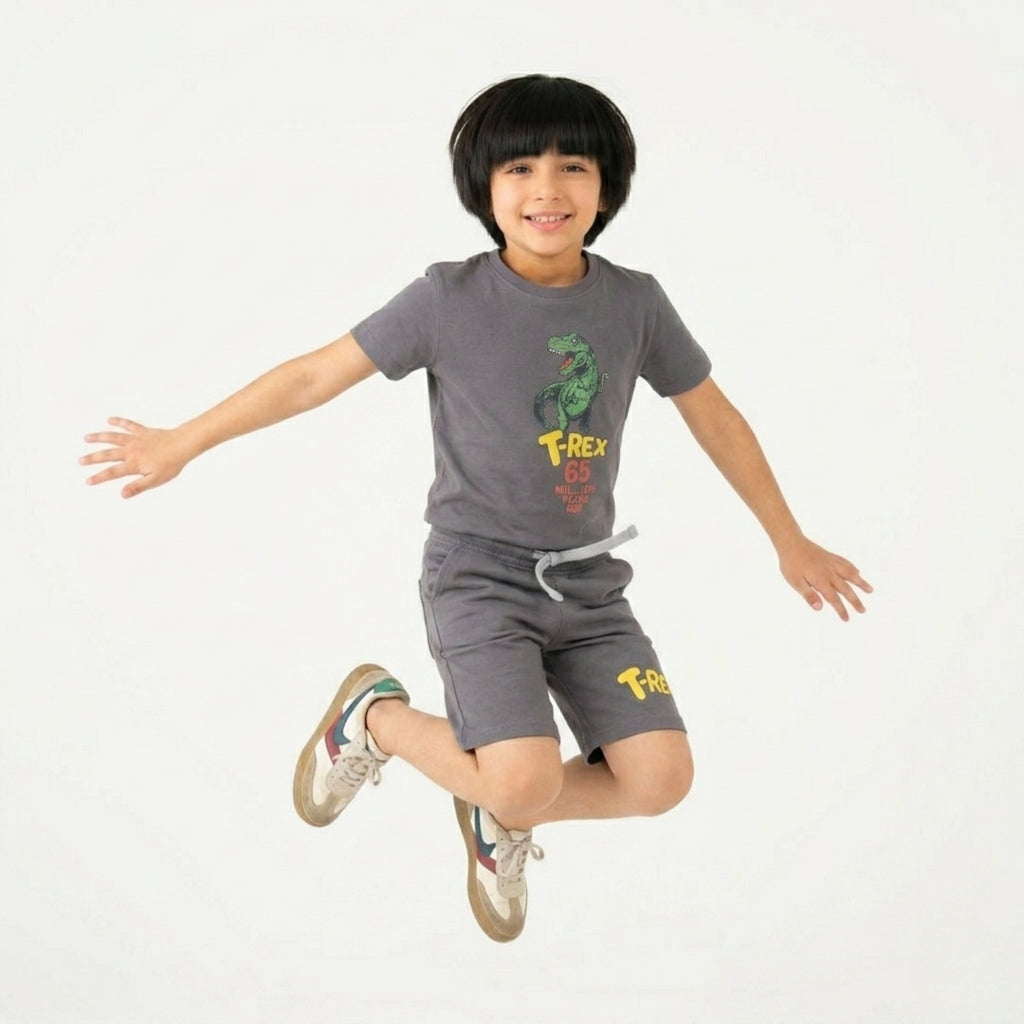 Boys T-Rex Dinosaur Grey Set