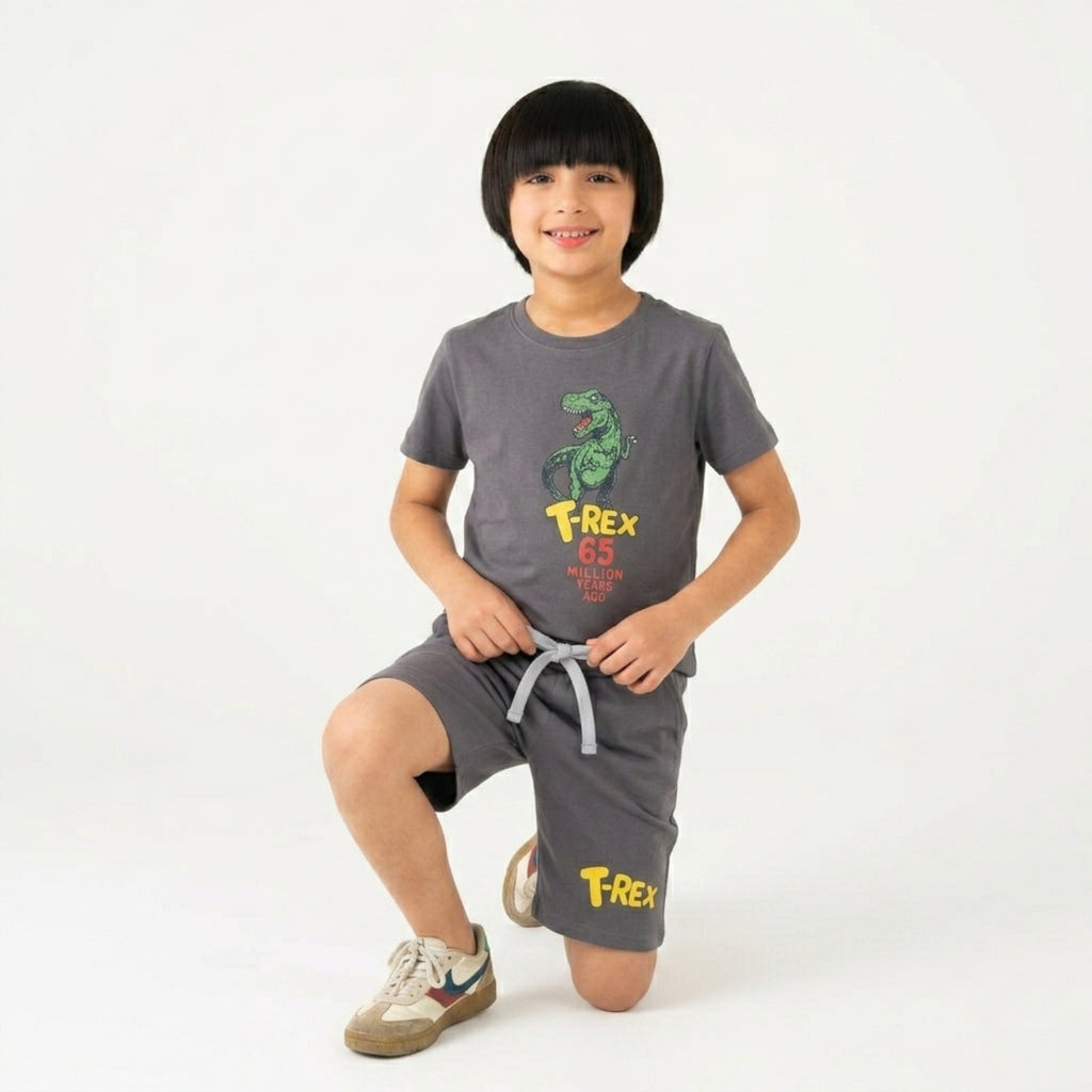 Boys T-Rex Dinosaur Grey Set