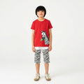 Boys Zebra Print Shorts Set
