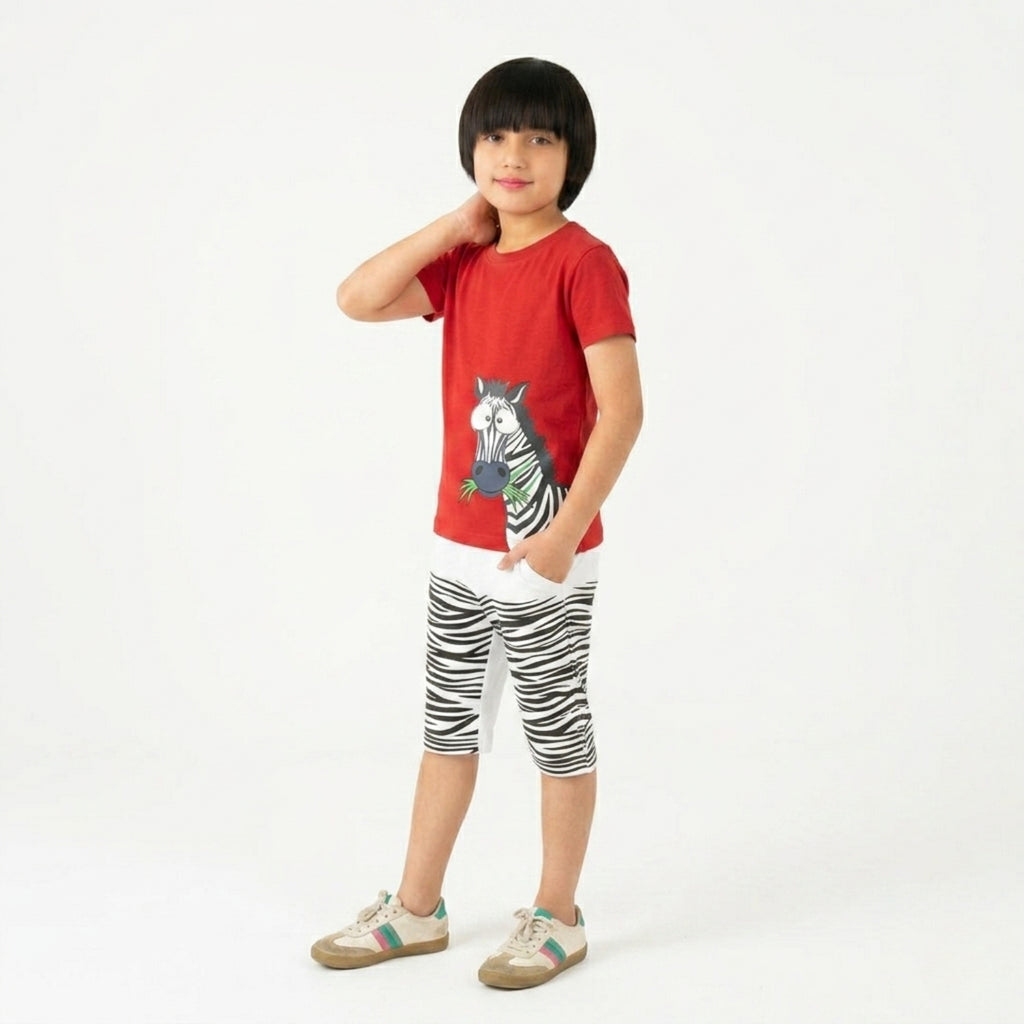 Boys Zebra Print Shorts Set