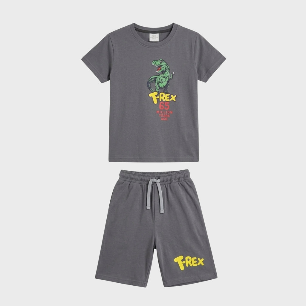 Boys T-Rex Dinosaur Grey Set